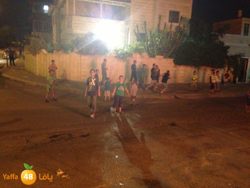 firelud608608 (2).jpg